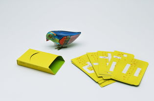 喜鵲35周年 無界設計，翱翔于平面與包裝之間的創新美學